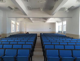 从化阶梯排椅 中山大学南方学院附属小学多功能会议室