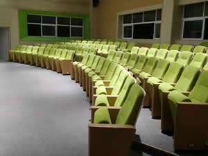 南海区灯湖小学礼堂椅图片