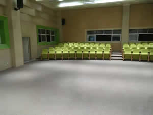 南海区灯湖小学礼堂椅图片