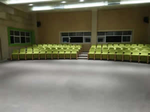 南海区灯湖小学礼堂椅图片