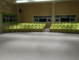 南海区灯湖小学礼堂椅